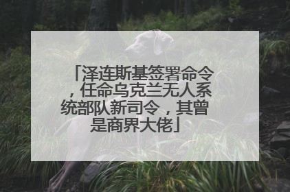 泽连斯基签署命令，任命乌克兰无人系统部队新司令，其曾是商界大佬