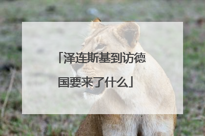 泽连斯基到访德国要来了什么