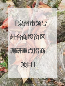 泉州市领导赴台商投资区调研重点招商项目