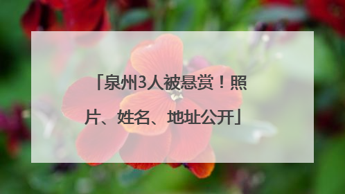 泉州3人被悬赏！照片、姓名、地址公开