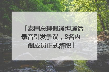 泰国总理佩通坦通话录音引发争议，8名内阁成员正式辞职
