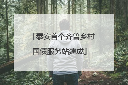 泰安首个齐鲁乡村国债服务站建成