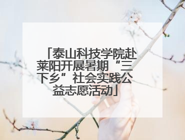 泰山科技学院赴莱阳开展暑期“三下乡”社会实践公益志愿活动