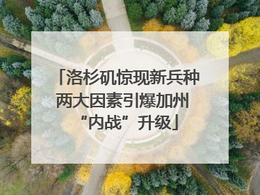 洛杉矶惊现新兵种 两大因素引爆加州“内战”升级