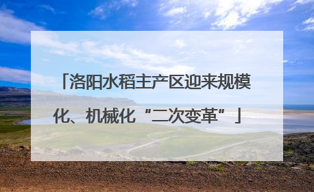 洛阳水稻主产区迎来规模化、机械化“二次变革”