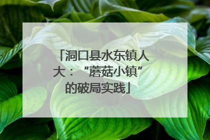 洞口县水东镇人大：“蘑菇小镇”的破局实践