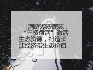 洞庭湖麋鹿苑：“三资盘活”激活生态资源，打造长江经济带生态价值转化新标杆