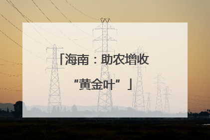 海南：助农增收 “黄金叶”