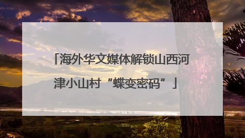 海外华文媒体解锁山西河津小山村“蝶变密码”