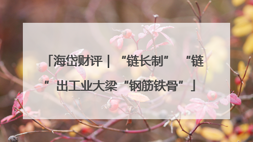 海岱财评｜“链长制” “链”出工业大梁“钢筋铁骨”
