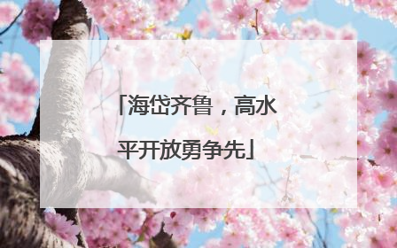 海岱齐鲁，高水平开放勇争先