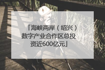 海峡两岸(绍兴)数字产业合作区总投资近600亿元