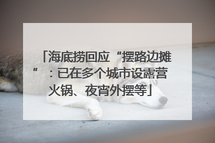 海底捞回应“摆路边摊”：已在多个城市设露营火锅、夜宵外摆等
