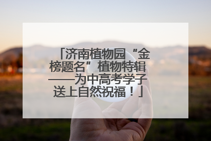 济南植物园“金榜题名”植物特辑——为中高考学子送上自然祝福！