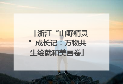 浙江“山野精灵”成长记：万物共生绘就和美画卷