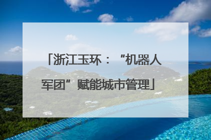 浙江玉环：“机器人军团”赋能城市管理
