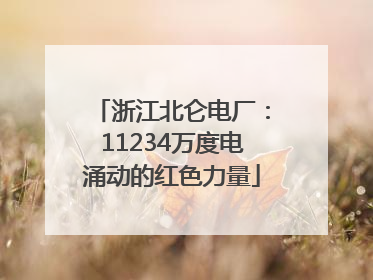 浙江北仑电厂：11234万度电涌动的红色力量