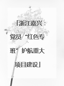 浙江嘉兴：党员“红色专班”护航重大项目建设