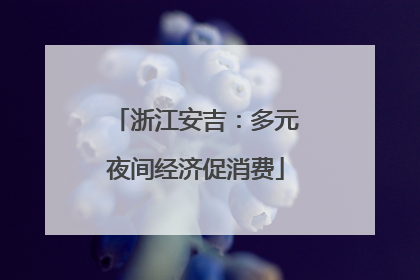 浙江安吉：多元夜间经济促消费