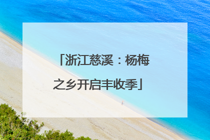 浙江慈溪：杨梅之乡开启丰收季