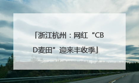 浙江杭州：网红“CBD麦田”迎来丰收季