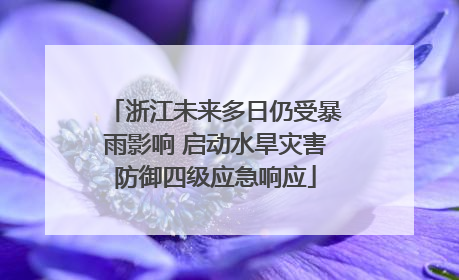浙江未来多日仍受暴雨影响 启动水旱灾害防御四级应急响应