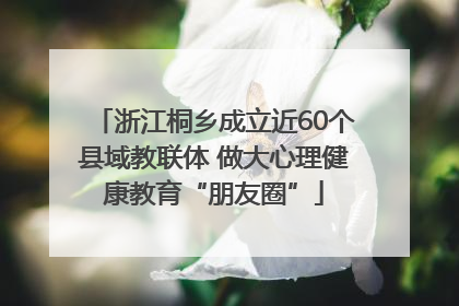 浙江桐乡成立近60个县域教联体 做大心理健康教育“朋友圈”