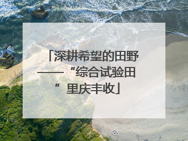 深耕希望的田野——“综合试验田”里庆丰收