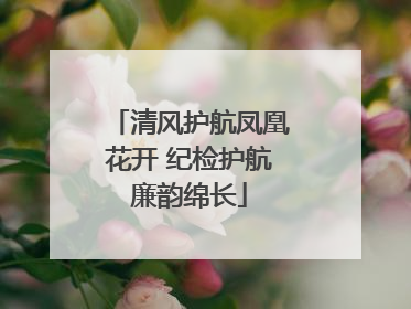 清风护航凤凰花开 纪检护航廉韵绵长