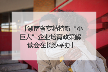 湖南省专精特新“小巨人”企业培育政策解读会在长沙举办