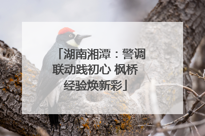 湖南湘潭：警调联动践初心 枫桥经验焕新彩