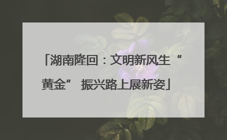 湖南隆回：文明新风生“黄金” 振兴路上展新姿