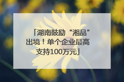 湖南鼓励“湘品”出境！单个企业最高支持100万元