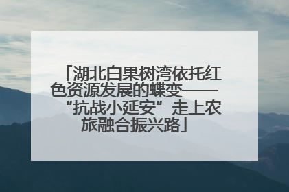 湖北白果树湾依托红色资源发展的蝶变——“抗战小延安”走上农旅融合振兴路