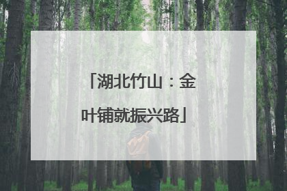 湖北竹山：金叶铺就振兴路