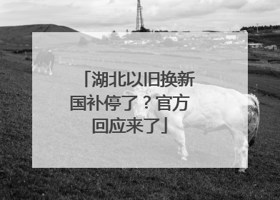 湖北以旧换新国补停了？官方回应来了