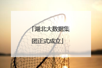 湖北大数据集团正式成立