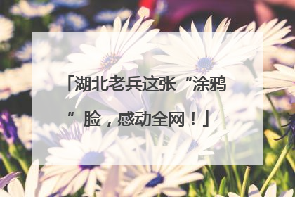 湖北老兵这张“涂鸦”脸，感动全网！