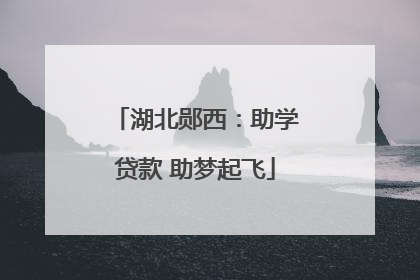 湖北郧西：助学贷款 助梦起飞