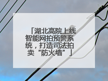 湖北高院上线智能网拍预警系统，打造司法拍卖“防火墙”