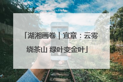湖湘画卷｜宜章：云雾绕茶山 绿叶变金叶