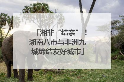 湘非“结亲”！湖南八市与非洲九城缔结友好城市