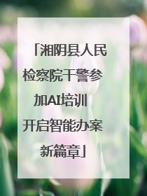 湘阴县人民检察院干警参加AI培训 开启智能办案新篇章
