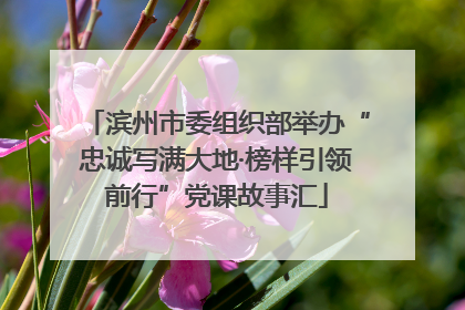 滨州市委组织部举办“忠诚写满大地·榜样引领前行”党课故事汇