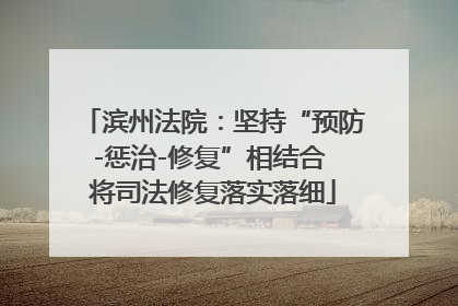 滨州法院：坚持“预防-惩治-修复”相结合 将司法修复落实落细