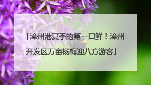 漳州港夏季的第一口鲜！漳州开发区万亩杨梅迎八方游客