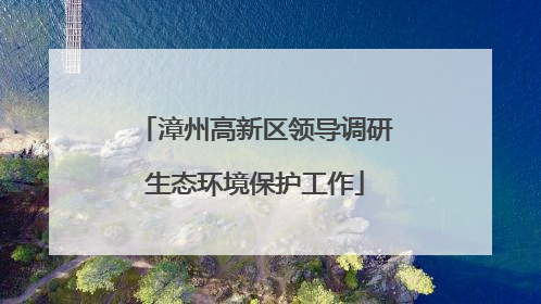 漳州高新区领导调研生态环境保护工作