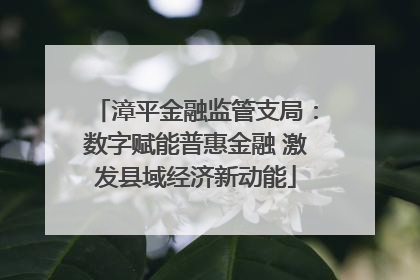 漳平金融监管支局：数字赋能普惠金融 激发县域经济新动能