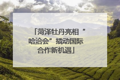 菏泽牡丹亮相“哈洽会”撬动国际合作新机遇