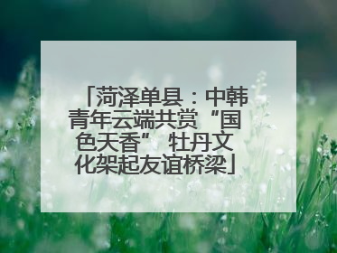 菏泽单县：中韩青年云端共赏“国色天香” 牡丹文化架起友谊桥梁